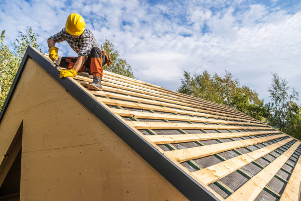 Roof Gutter Cleaning in Riley, KS